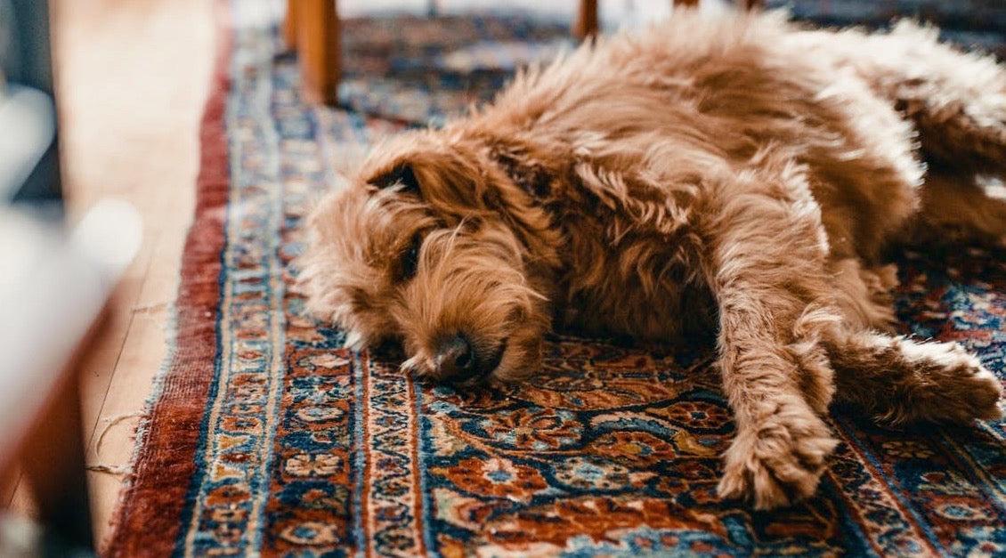 Kilim Motifleri ve Anlamları