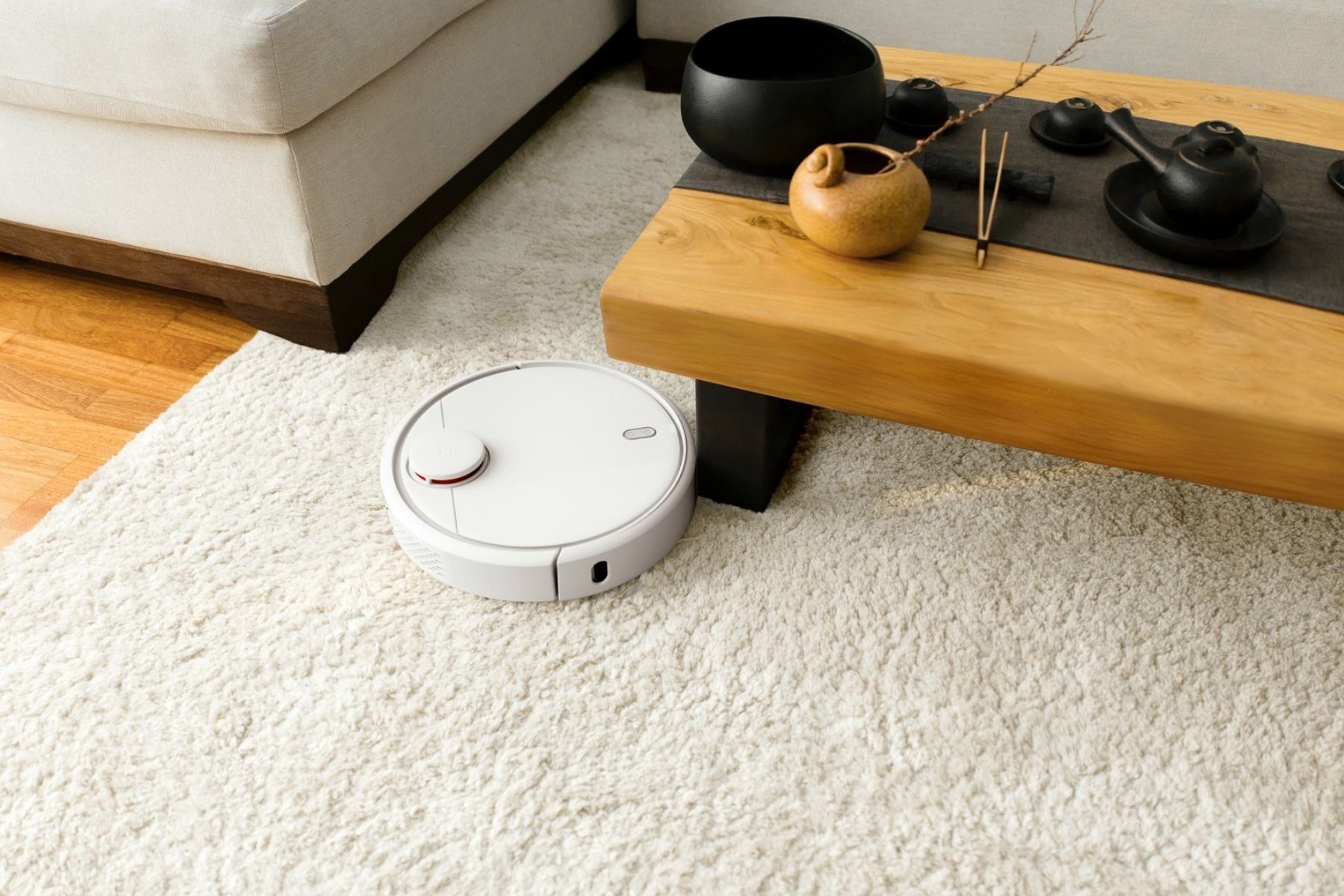 Robot Süpürge ile Halı Temizleme