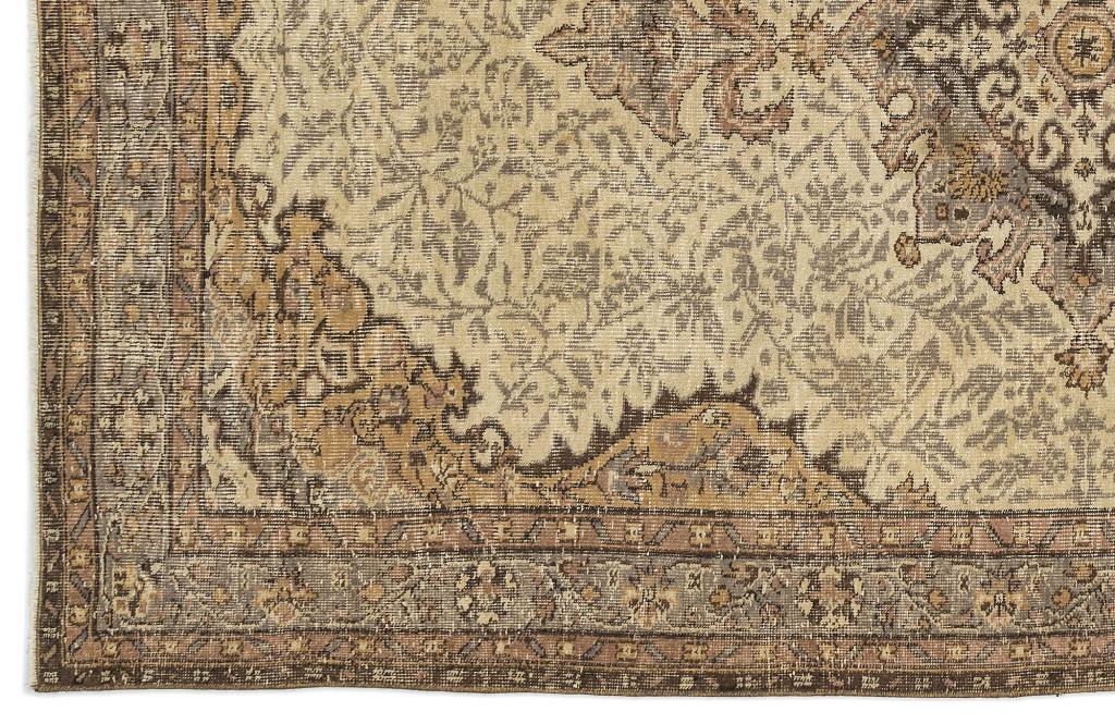 Apex Vintage Naturel 10258 164 cm X 268 cm