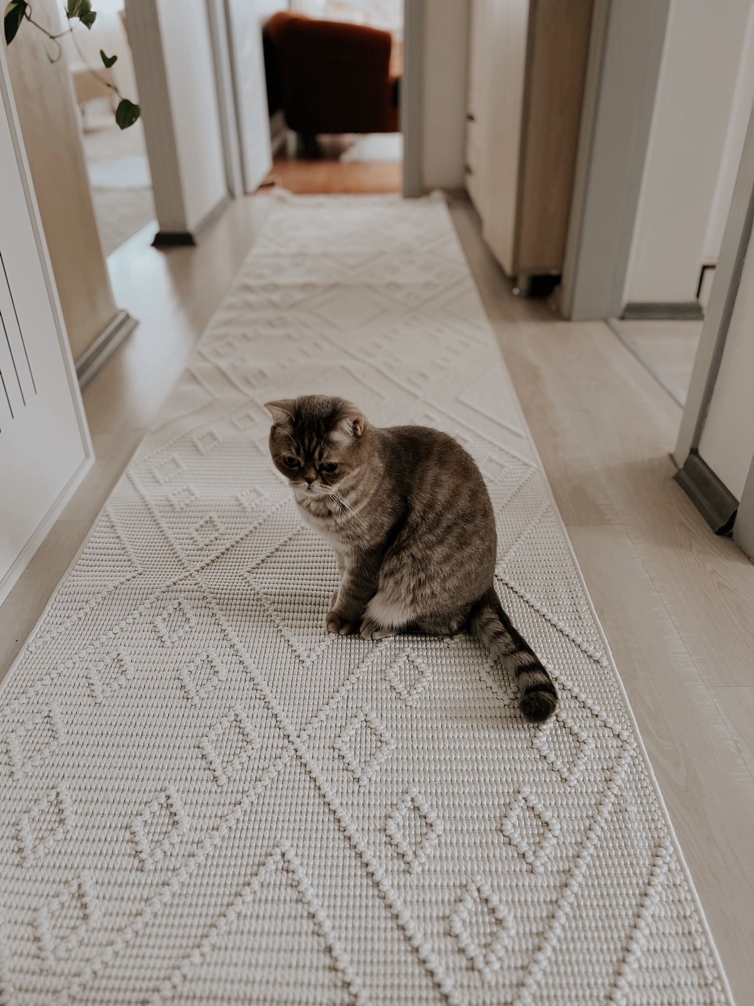 Havana Kesme Halı (Özel Ölçü) - 8561 Ekru