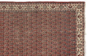 Apex Vintage Carpet Naturel 12354 121 x 217 cm