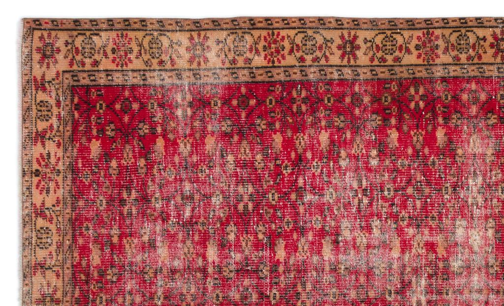 Apex Vintage Halı Naturel 18904 177 x 292 cm